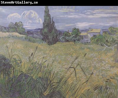 Vincent Van Gogh Green Wheat Field with Cypress (nn04)